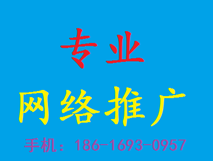 上海网络宣传与技术推广渠道全解析 从内容传播到技术落地