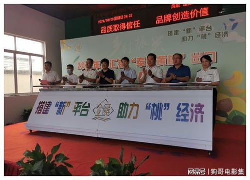 上海奉贤黄桃香飘香港，技术赋能开启高品质农产品出口新篇章