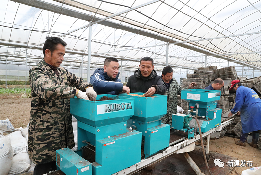 上海力推工厂化育秧技术 举办种植培训班与团购农机双管齐下