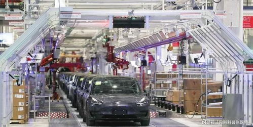 马斯克的上海技术推广言论 颠覆认知背后的战略视野